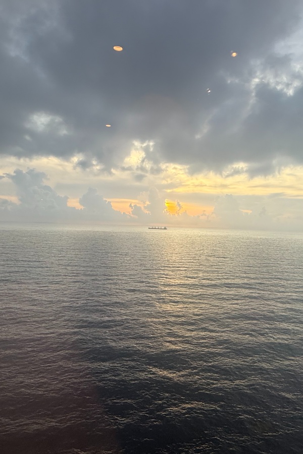 Cruise Brothers Travel Agent Malinda English